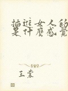 插进女人的阴道是什么感觉