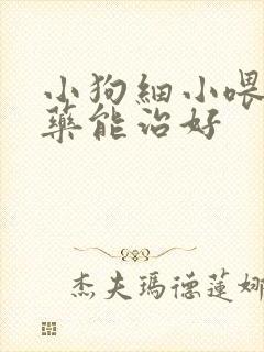 小狗细小喂什么药能治好