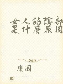 女人的阴部松弛是什么原因