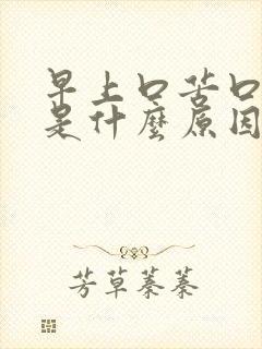 早上口苦口水黄是什么原因