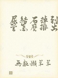 尿结石掉到输尿管怎么排出来