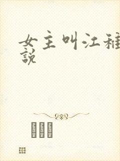 女主叫江稚的小说