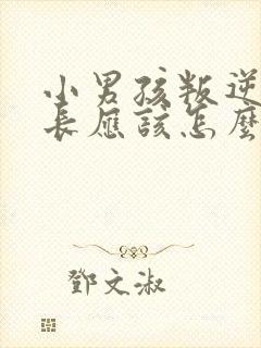 小男孩叛逆期家长应该怎么办