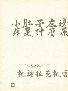 小肚子左边按压疼是什么原因女性