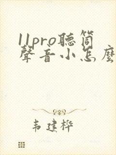 11pro听筒声音小怎么回事