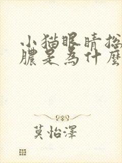 小猫眼睛总是流脓是为什么