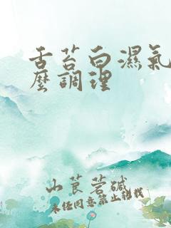 舌苔白湿气重怎么调理