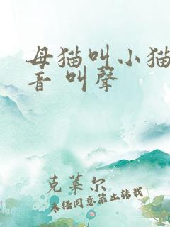 母猫叫小猫的声音 叫声