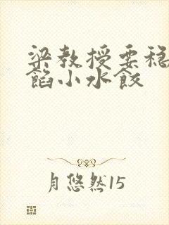 梁教授要稳住肉馅小水饺