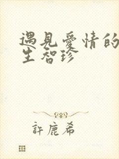 遇见爱情的利先生智珍
