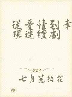 从爱情到幸福电视连续剧