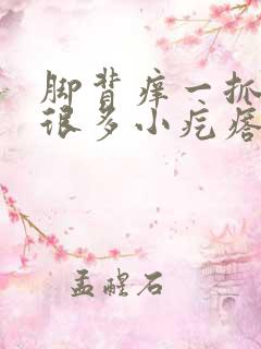 脚背痒一抓起了很多小疙瘩