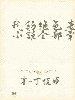 我的绝色老板娘小说全部章节