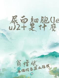 尿白细胞(leu)2+是什么意思