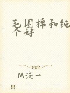 毛圈棉和纯棉哪个好