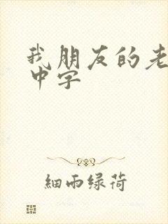 我朋友的老姐2中字