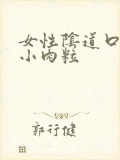 女性阴道口上的小肉粒