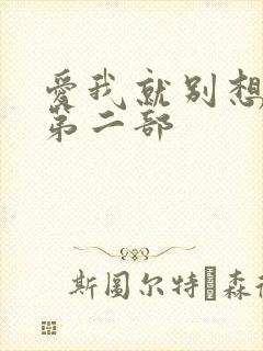爱我就别想太多第二部