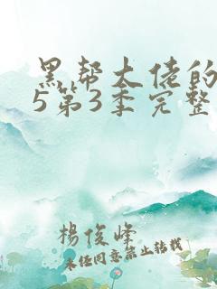 黑帮大佬的365第3季完整版