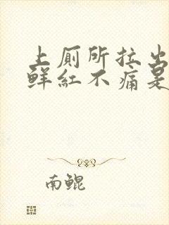 上厕所拉出血,鲜红不痛是什么情况