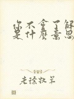 你不会了解歌词是什么意思