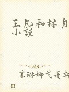 王凡和林月娥的小说