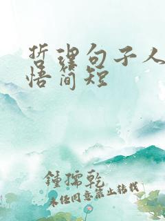 哲理句子人生感悟简短