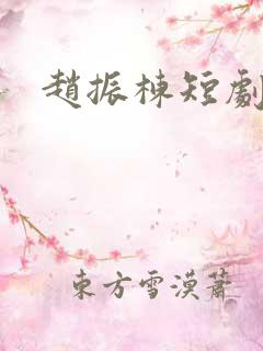 赵振栋短剧大全