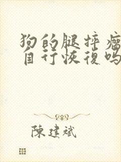 狗的腿摔瘸了能自行恢复吗