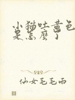 小猫吐黄色液体是怎么了