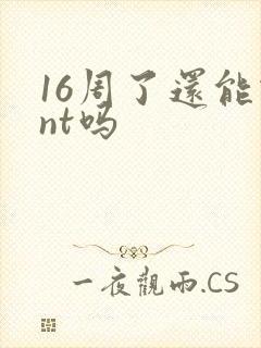 16周了还能做nt吗
