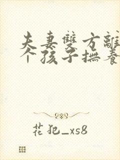 夫妻双方离婚两个孩子抚养权怎么判定