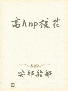 高hnp校花