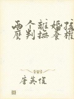 两个离婚孩子怎么判抚养权