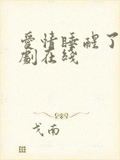 爱情睡醒了电视剧在线