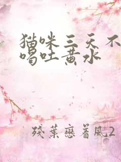 猫咪三天不吃不喝吐黄水