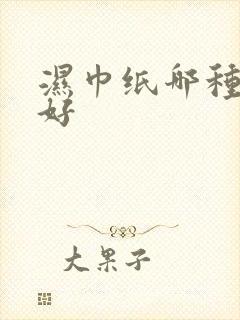 湿巾纸哪种品牌好