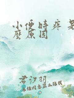 小便时疼 是什么原因