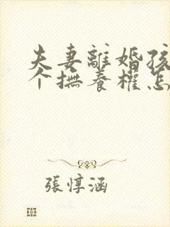 夫妻离婚孩子两个抚养权怎么判定