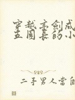 穿越亮剑成为新五团长的小说