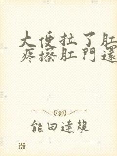 大便拉了肛门口疼擦肛门还有血