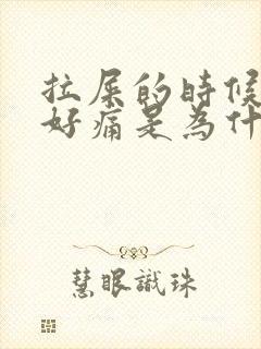 拉屎的时候屁眼好痛是为什么