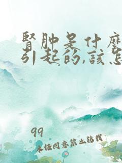 肾肿是什么原因引起的,该怎么治疗