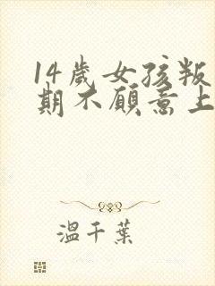 14岁女孩叛逆期不愿意上学怎么办