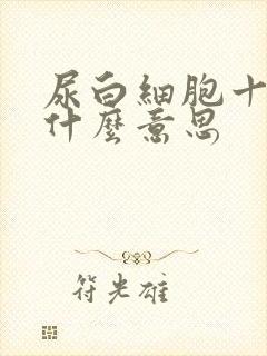 尿白细胞十2是什么意思