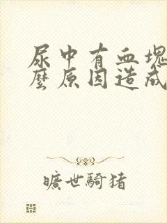 尿中有血块是什么原因造成的