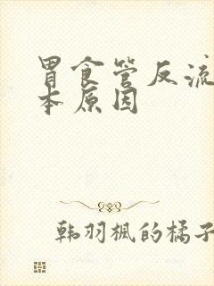 胃食管反流的根本原因