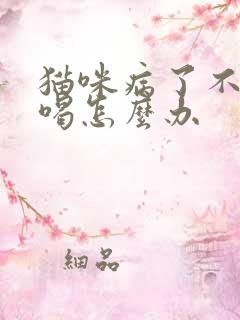 猫咪病了不吃不喝怎么办