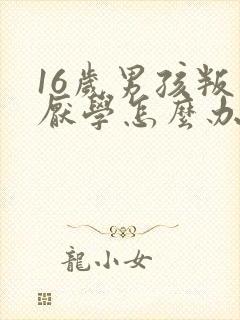 16岁男孩叛逆厌学怎么办