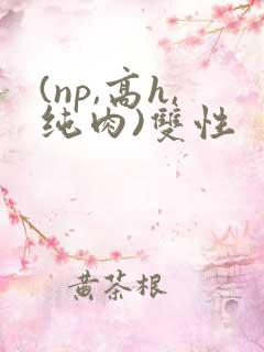 (np,高h,纯肉)双性